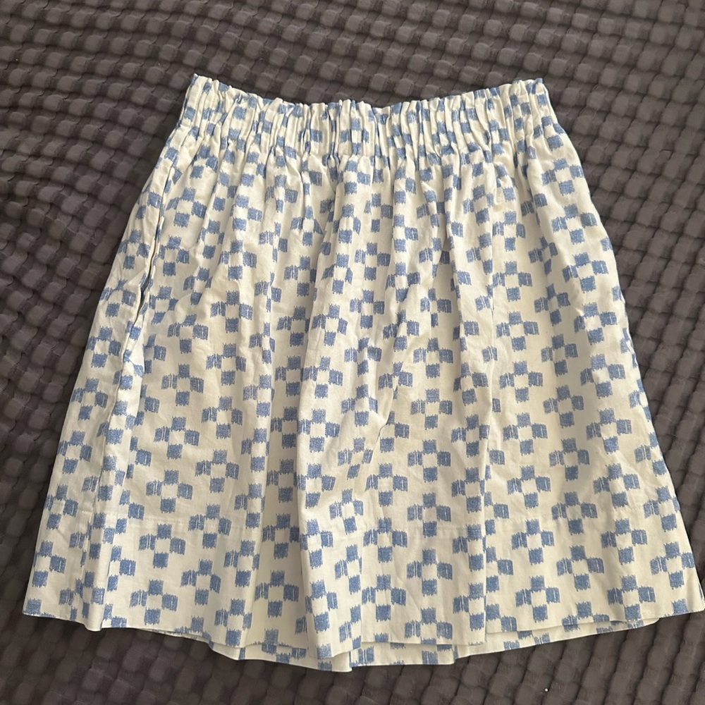 Madewell Blue and White Checkered Skater Skirt